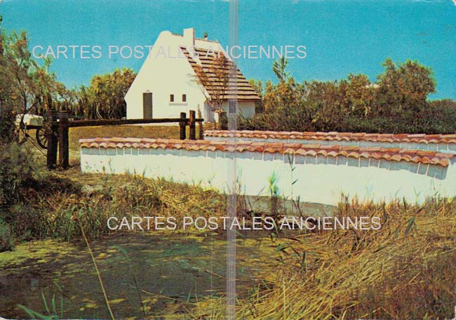 Cartes postales anciennes > CARTES POSTALES > carte postale ancienne > cartes-postales-ancienne.com Bouches du rhone  Saintes Maries De La Mer