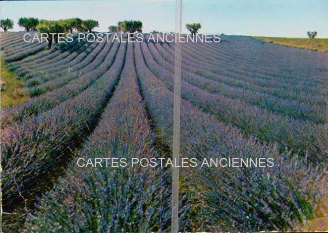 Cartes postales anciennes > CARTES POSTALES > carte postale ancienne > cartes-postales-ancienne.com Provence alpes cote d'azur Bouches du rhone Orgon