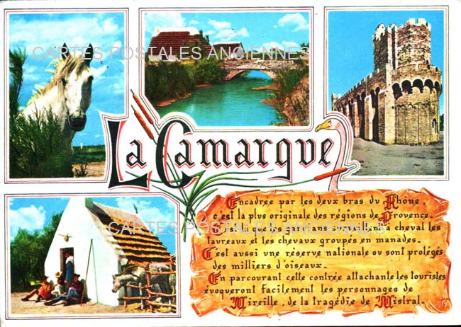 Cartes postales anciennes > CARTES POSTALES > carte postale ancienne > cartes-postales-ancienne.com Bouches du rhone  Saintes Maries De La Mer