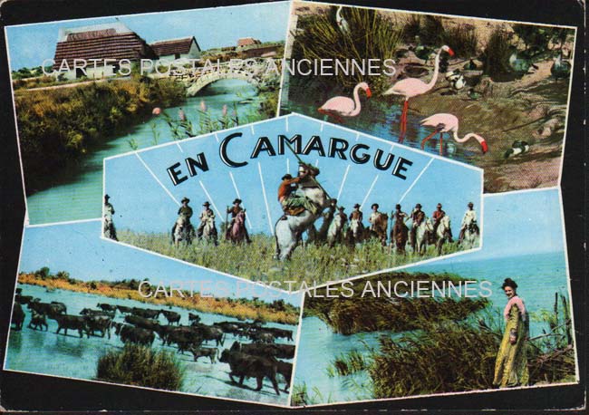 Cartes postales anciennes > CARTES POSTALES > carte postale ancienne > cartes-postales-ancienne.com Bouches du rhone  Saintes Maries De La Mer
