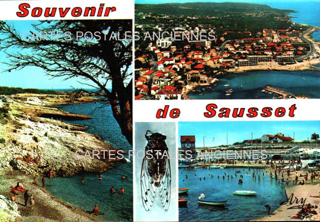 Cartes postales anciennes > CARTES POSTALES > carte postale ancienne > cartes-postales-ancienne.com Provence alpes cote d'azur Bouches du rhone Sausset Les Pins