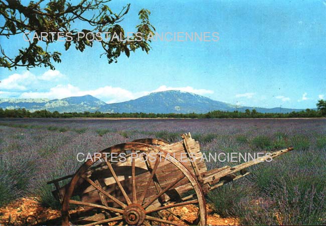 Cartes postales anciennes > CARTES POSTALES > carte postale ancienne > cartes-postales-ancienne.com Provence alpes cote d'azur Bouches du rhone Fontvieille