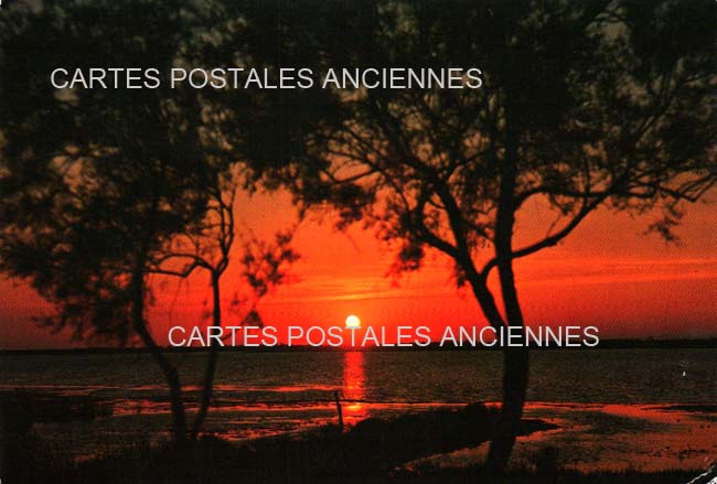 Cartes postales anciennes > CARTES POSTALES > carte postale ancienne > cartes-postales-ancienne.com Provence alpes cote d'azur Bouches du rhone Sausset Les Pins