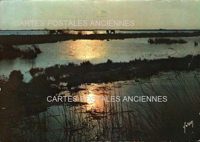 Cartes postales anciennes > CARTES POSTALES > carte postale ancienne > cartes-postales-ancienne.com Bouches du rhone  Saintes Maries De La Mer