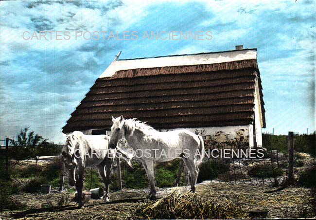 Cartes postales anciennes > CARTES POSTALES > carte postale ancienne > cartes-postales-ancienne.com Bouches du rhone  Saintes Maries De La Mer