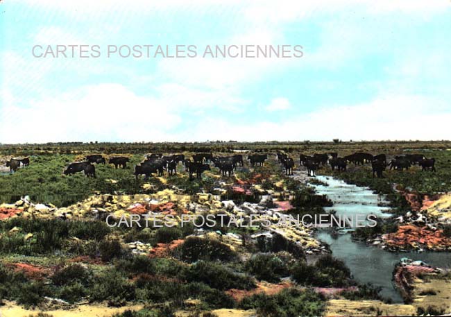 Cartes postales anciennes > CARTES POSTALES > carte postale ancienne > cartes-postales-ancienne.com Bouches du rhone  Saintes Maries De La Mer