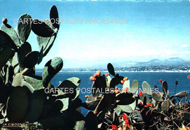 Cartes postales anciennes > CARTES POSTALES > carte postale ancienne > cartes-postales-ancienne.com Bouches du rhone  Saintes Maries De La Mer