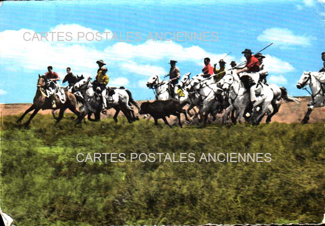 Cartes postales anciennes > CARTES POSTALES > carte postale ancienne > cartes-postales-ancienne.com Bouches du rhone  Saintes Maries De La Mer