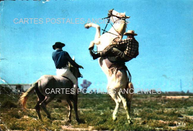 Cartes postales anciennes > CARTES POSTALES > carte postale ancienne > cartes-postales-ancienne.com Bouches du rhone  Saintes Maries De La Mer