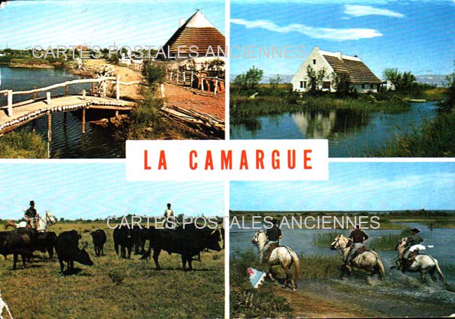 Cartes postales anciennes > CARTES POSTALES > carte postale ancienne > cartes-postales-ancienne.com Bouches du rhone  Saintes Maries De La Mer