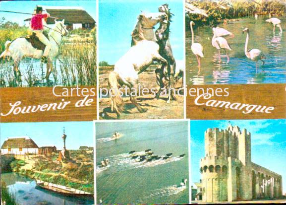 Cartes postales anciennes > CARTES POSTALES > carte postale ancienne > cartes-postales-ancienne.com Bouches du rhone  Saintes Maries De La Mer