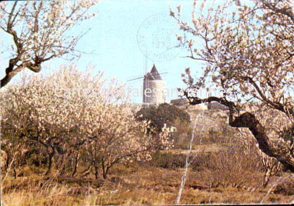 Cartes postales anciennes > CARTES POSTALES > carte postale ancienne > cartes-postales-ancienne.com Provence alpes cote d'azur Bouches du rhone Fontvieille