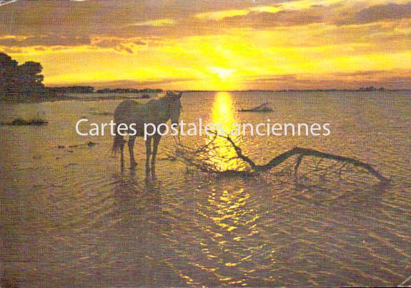 Cartes postales anciennes > CARTES POSTALES > carte postale ancienne > cartes-postales-ancienne.com Bouches du rhone  Saintes Maries De La Mer
