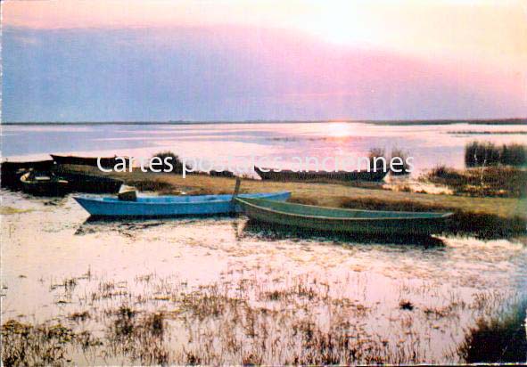 Cartes postales anciennes > CARTES POSTALES > carte postale ancienne > cartes-postales-ancienne.com Bouches du rhone  Saintes Maries De La Mer