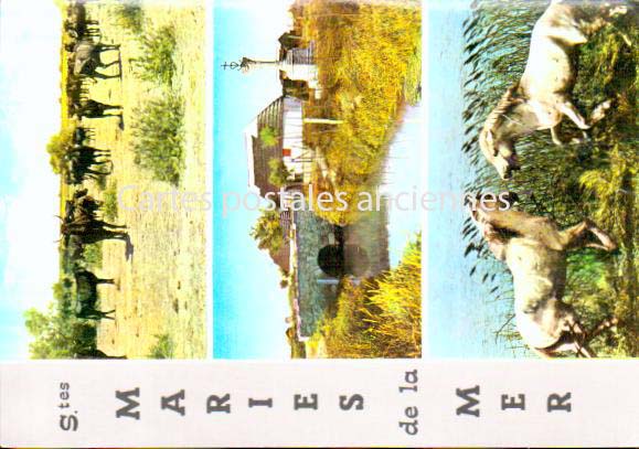 Cartes postales anciennes > CARTES POSTALES > carte postale ancienne > cartes-postales-ancienne.com Bouches du rhone  Saintes Maries De La Mer