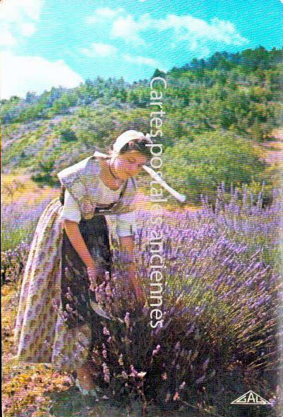 Cartes postales anciennes > CARTES POSTALES > carte postale ancienne > cartes-postales-ancienne.com Provence alpes cote d'azur Bouches du rhone Fontvieille