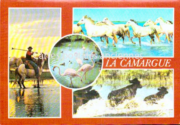 Cartes postales anciennes > CARTES POSTALES > carte postale ancienne > cartes-postales-ancienne.com Bouches du rhone  Saintes Maries De La Mer