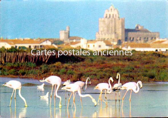 Cartes postales anciennes > CARTES POSTALES > carte postale ancienne > cartes-postales-ancienne.com Bouches du rhone  Saintes Maries De La Mer