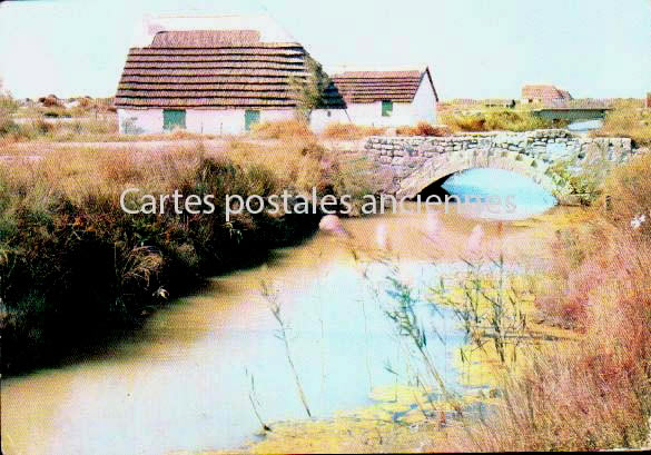 Cartes postales anciennes > CARTES POSTALES > carte postale ancienne > cartes-postales-ancienne.com Bouches du rhone  Saintes Maries De La Mer