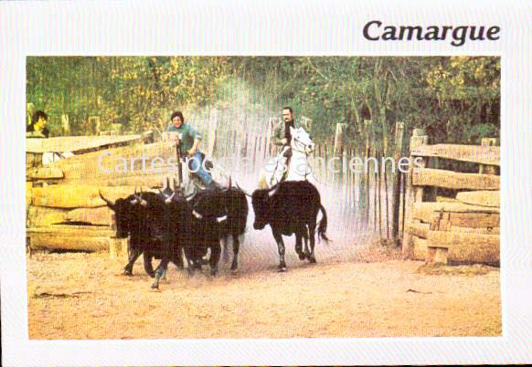 Cartes postales anciennes > CARTES POSTALES > carte postale ancienne > cartes-postales-ancienne.com Bouches du rhone  Saintes Maries De La Mer