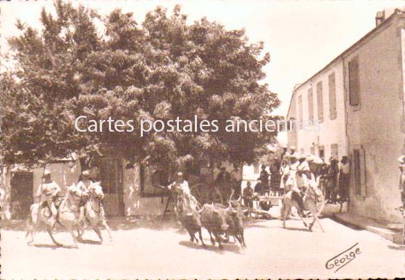 Cartes postales anciennes > CARTES POSTALES > carte postale ancienne > cartes-postales-ancienne.com Bouches du rhone  Saintes Maries De La Mer
