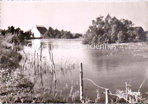 Cartes postales anciennes > CARTES POSTALES > carte postale ancienne > cartes-postales-ancienne.com Bouches du rhone  Saintes Maries De La Mer