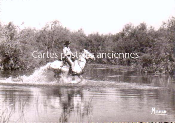 Cartes postales anciennes > CARTES POSTALES > carte postale ancienne > cartes-postales-ancienne.com Bouches du rhone  Saintes Maries De La Mer