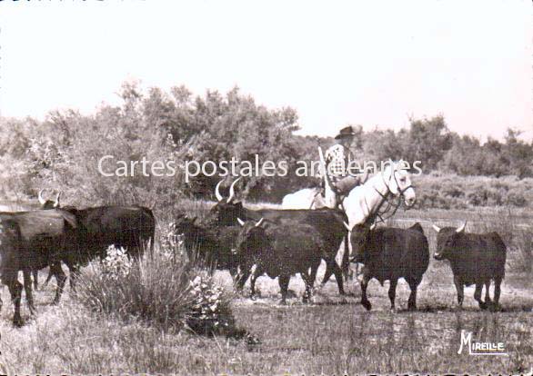 Cartes postales anciennes > CARTES POSTALES > carte postale ancienne > cartes-postales-ancienne.com Bouches du rhone  Saintes Maries De La Mer