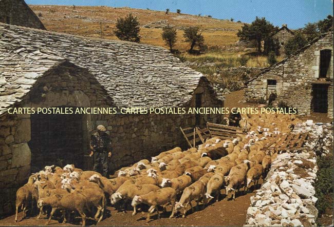 Cartes postales anciennes > CARTES POSTALES > carte postale ancienne > cartes-postales-ancienne.com Aveyron  Millau