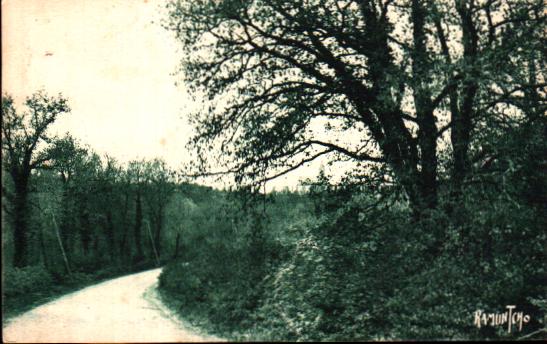 Cartes postales anciennes > CARTES POSTALES > carte postale ancienne > cartes-postales-ancienne.com Charente 16 Mareuil