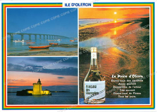 Cartes postales anciennes > CARTES POSTALES > carte postale ancienne > cartes-postales-ancienne.com Nouvelle aquitaine Charente maritime Dolus D Oleron