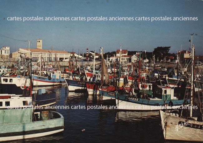 Cartes postales anciennes > CARTES POSTALES > carte postale ancienne > cartes-postales-ancienne.com Nouvelle aquitaine Charente maritime Dolus D Oleron