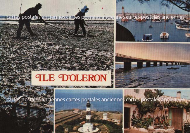 Cartes postales anciennes > CARTES POSTALES > carte postale ancienne > cartes-postales-ancienne.com Nouvelle aquitaine Charente maritime Dolus D Oleron