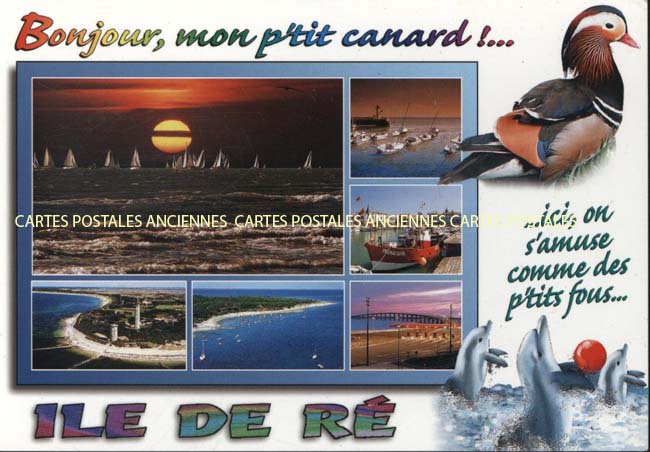 Cartes postales anciennes > CARTES POSTALES > carte postale ancienne > cartes-postales-ancienne.com Nouvelle aquitaine Charente maritime Ars En Re