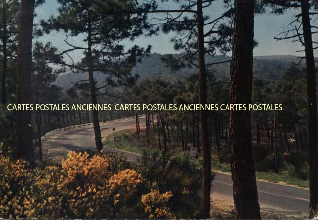 Cartes postales anciennes > CARTES POSTALES > carte postale ancienne > cartes-postales-ancienne.com Nouvelle aquitaine Ronce Les Bains