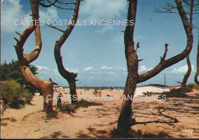 Cartes postales anciennes > CARTES POSTALES > carte postale ancienne > cartes-postales-ancienne.com Nouvelle aquitaine Charente maritime Boyardville