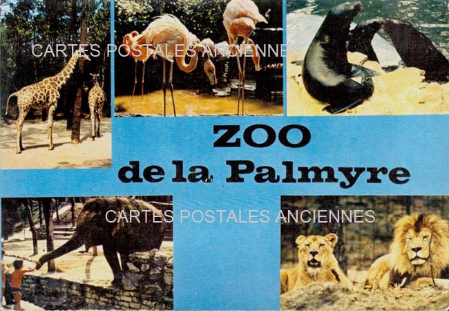 Cartes postales anciennes > CARTES POSTALES > carte postale ancienne > cartes-postales-ancienne.com Nouvelle aquitaine Saint Agnant