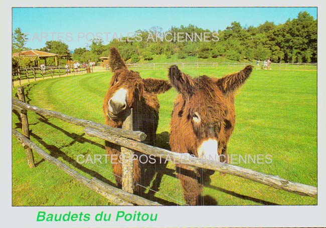 Cartes postales anciennes > CARTES POSTALES > carte postale ancienne > cartes-postales-ancienne.com Nouvelle aquitaine Charente maritime Brouage