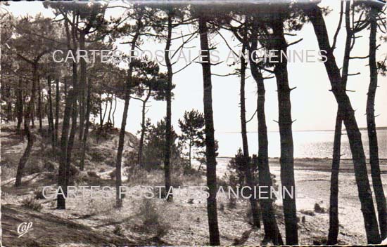 Cartes postales anciennes > CARTES POSTALES > carte postale ancienne > cartes-postales-ancienne.com Nouvelle aquitaine Saint Denis d'Oleron