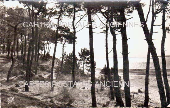 Cartes postales anciennes > CARTES POSTALES > carte postale ancienne > cartes-postales-ancienne.com Nouvelle aquitaine Charente maritime Saint Denis d'Oleron