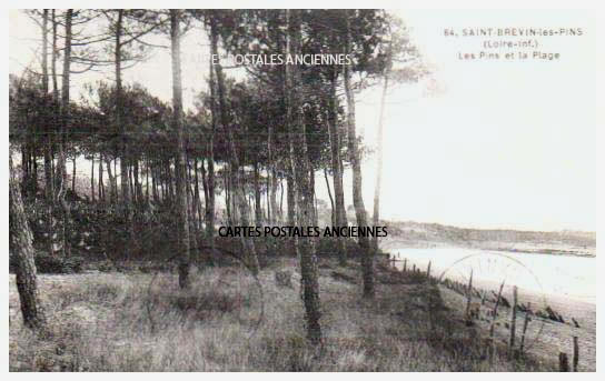 Cartes postales anciennes > CARTES POSTALES > carte postale ancienne > cartes-postales-ancienne.com Loire atlantique  Saint Brevin Les Pins