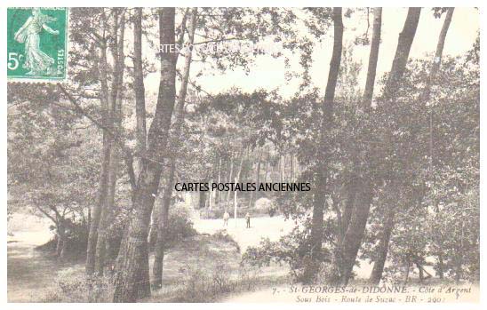Cartes postales anciennes > CARTES POSTALES > carte postale ancienne > cartes-postales-ancienne.com Nouvelle aquitaine Saint Georges De Didonne