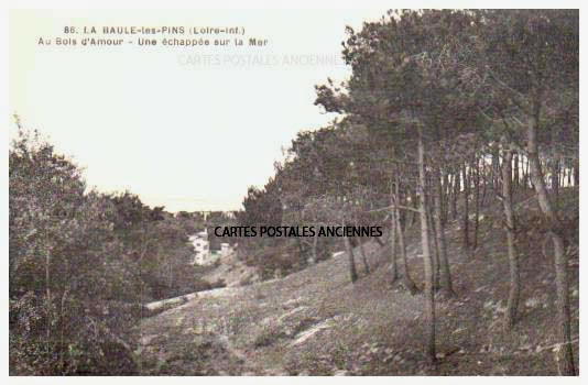 Cartes postales anciennes > CARTES POSTALES > carte postale ancienne > cartes-postales-ancienne.com Loire atlantique  La Baule Escoublac