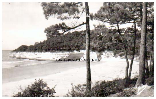 Cartes postales anciennes > CARTES POSTALES > carte postale ancienne > cartes-postales-ancienne.com Nouvelle aquitaine Meschers Sur Gironde