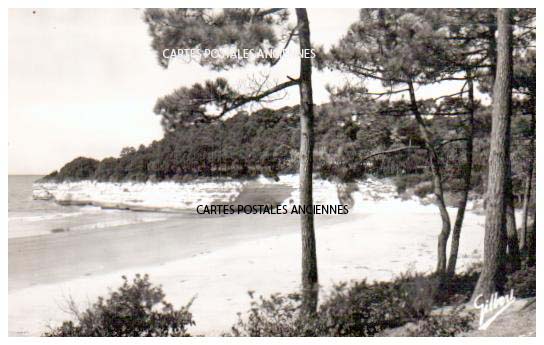 Cartes postales anciennes > CARTES POSTALES > carte postale ancienne > cartes-postales-ancienne.com Nouvelle aquitaine Charente maritime Meschers Sur Gironde