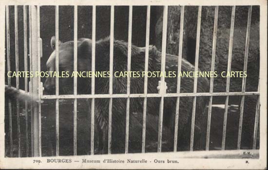 Cartes postales anciennes > CARTES POSTALES > carte postale ancienne > cartes-postales-ancienne.com Cher  Bourges