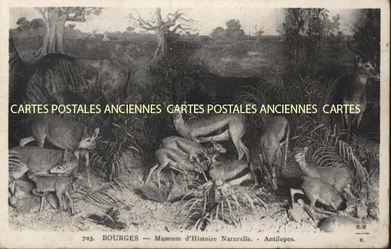 Cartes postales anciennes > CARTES POSTALES > carte postale ancienne > cartes-postales-ancienne.com Cher  Bourges