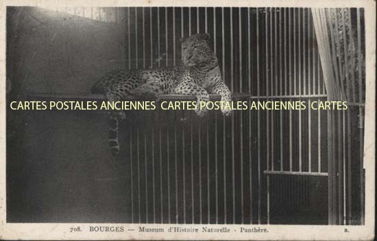 Cartes postales anciennes > CARTES POSTALES > carte postale ancienne > cartes-postales-ancienne.com Cher  Bourges