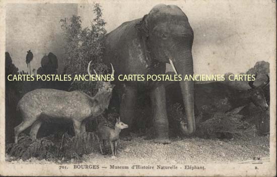 Cartes postales anciennes > CARTES POSTALES > carte postale ancienne > cartes-postales-ancienne.com Cher  Bourges