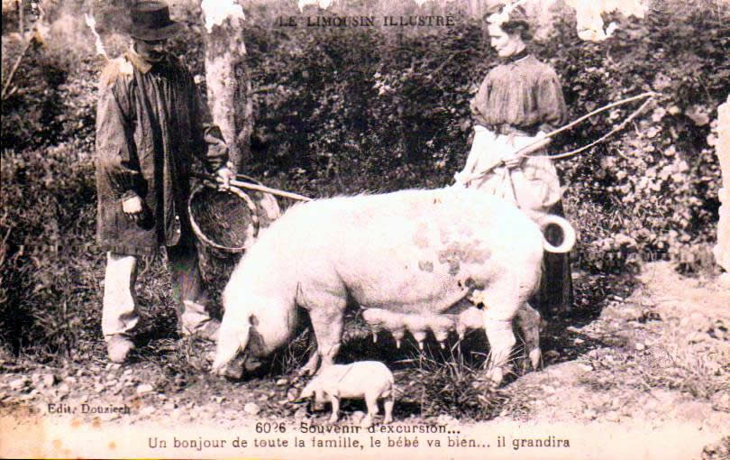 Correze Mestes